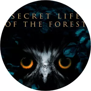 Secret Life of the ForestSince 2021