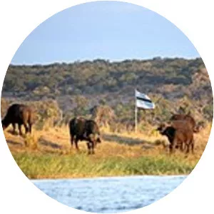 Sedudu - Island in Botswana