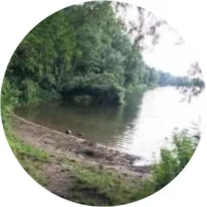 See im großen Moor - Lake in Germany