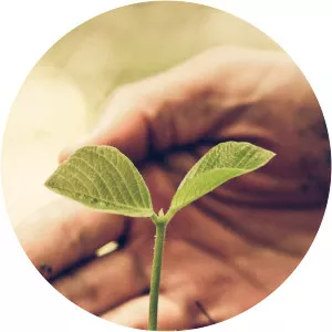 Seeds of SuccessSince 2017