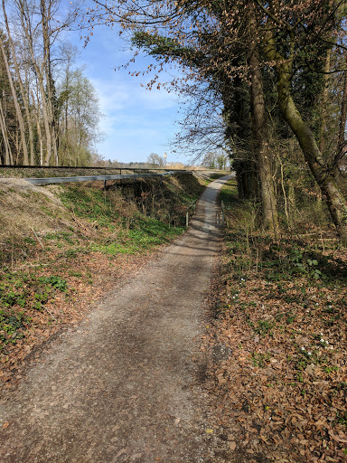 Seeholz Nature Reserve - Nature preserve in Diesen am Ammersee, Germany