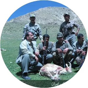 Sefid Kuh, Kermanshah