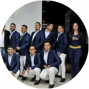 Segovia Orquesta - Musical artist