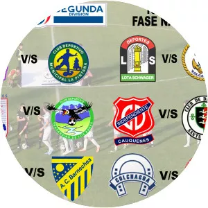 Segunda División Profesional de . . .