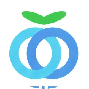 Seibu Railway - Conglomerate