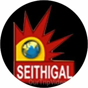 Seithigal