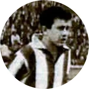 Selçuk Hergül - Football player
