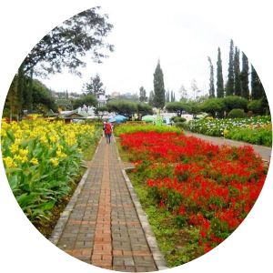 Selecta Recreational Park