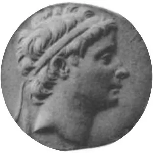 Seleucus II Callinicus