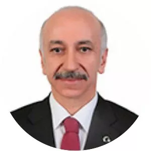 Selim Dursun - Politician