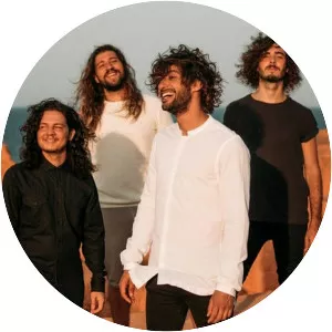 Selvagens À Procura De Lei