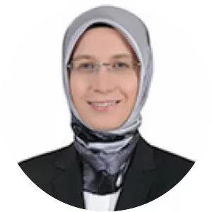 mehmet tüm sema kırcı