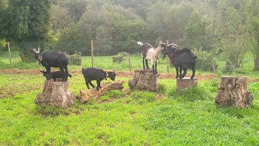 Senda de La Viona - Hiking area in Spain