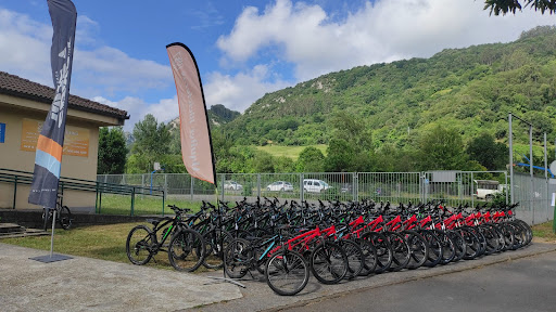 Senda del Oso - Alquiler de bicicletas - Deporventura