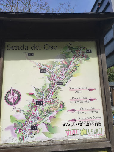 Senda del oso