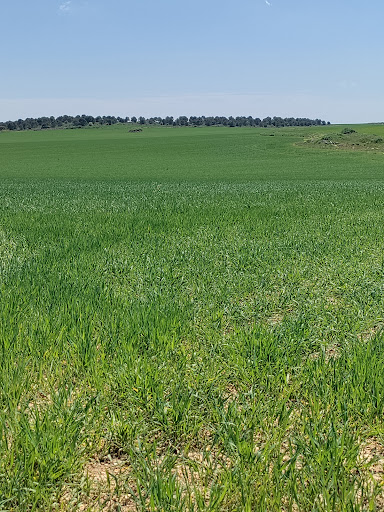 Senda el olivo - Hiking area in Spain