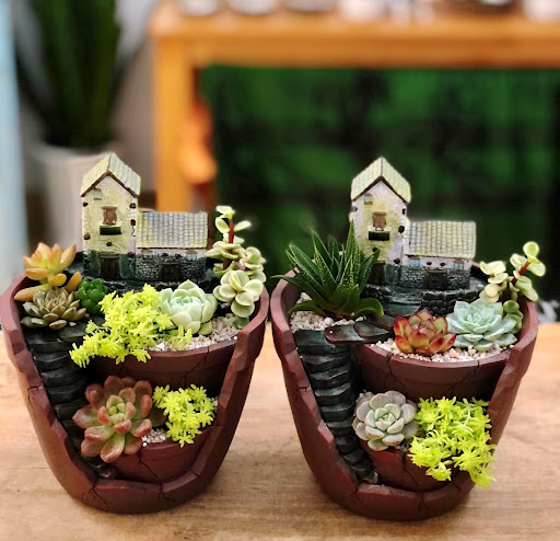 SENDA GARDEN - Florist in Vinh, Vietnam