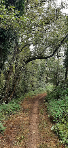 Sendeirismo - Hiking area in Spain