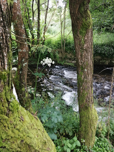 Sendeiro do Lagares Cabral - Hiking area in Spain