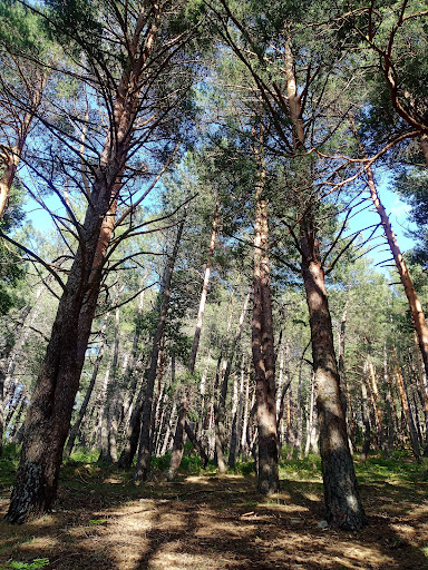 Senderismo Cercedilla - Hiking area in Cercedilla, Spain