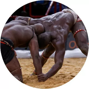 Senegalese wrestling
