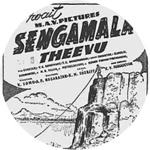 Sengamala Theevu
