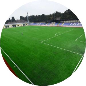 Şenlikköy Stadium - 