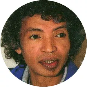 Sennen Andriamirado - Malagasy journalist