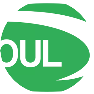 Seoul Semiconductor Co Ltd - Technology company