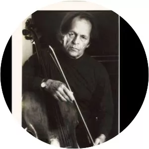 Seppo Laamanen Musician