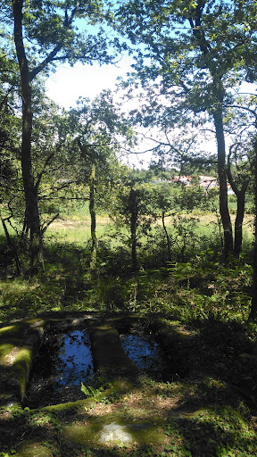 Sepulturas Escavadas na Rocha