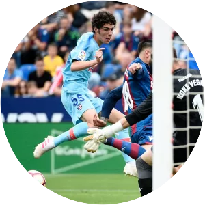 Sergio Camello - Spanish football player