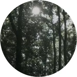 Sergio Diaz de Rojas - Musical artist