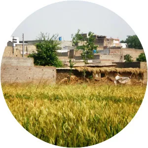 Seri Bahlol (Ser-i Bahlol)