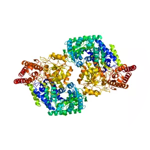 Serine hydroxymethyltransferase - 
