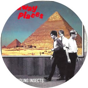 Serious Young Insects