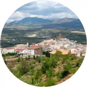 Serón