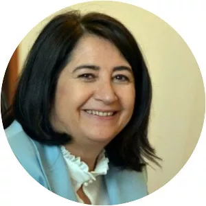 Serpil Kemalbay - Politician