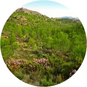 Serra Calderona - Mountain range in Spain