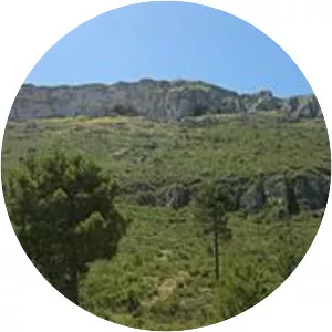 Serra d'Agullent