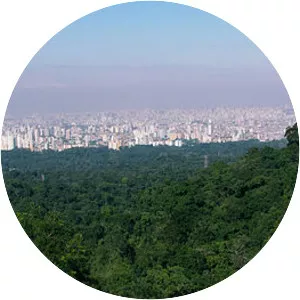 Serra da Cantareira - 