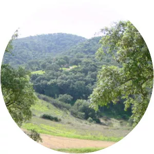 Serra de Grândola - 