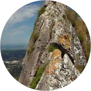 Serra de les Agulles