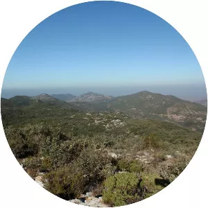 Serra del Buixcarró