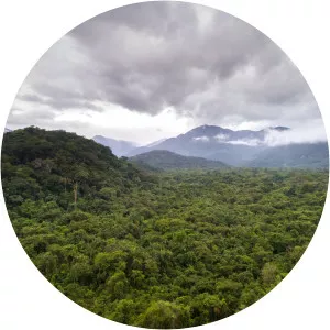 Serra do Aracá State Park