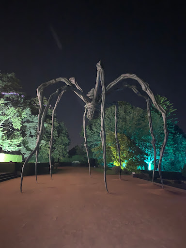 Serralves - Bus stop in Porto, Portugal