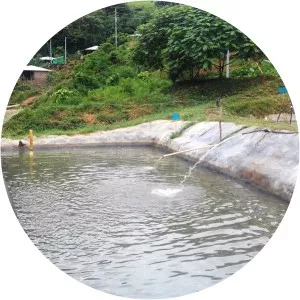 Serranía de Abibe - 