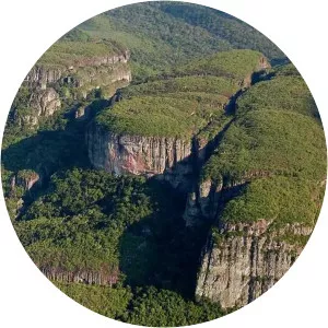 Serranía de Chiribiquete