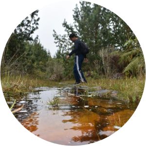 Serranía de Los Cobardes - 