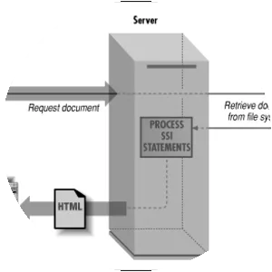 Server Side Includes - Programming language